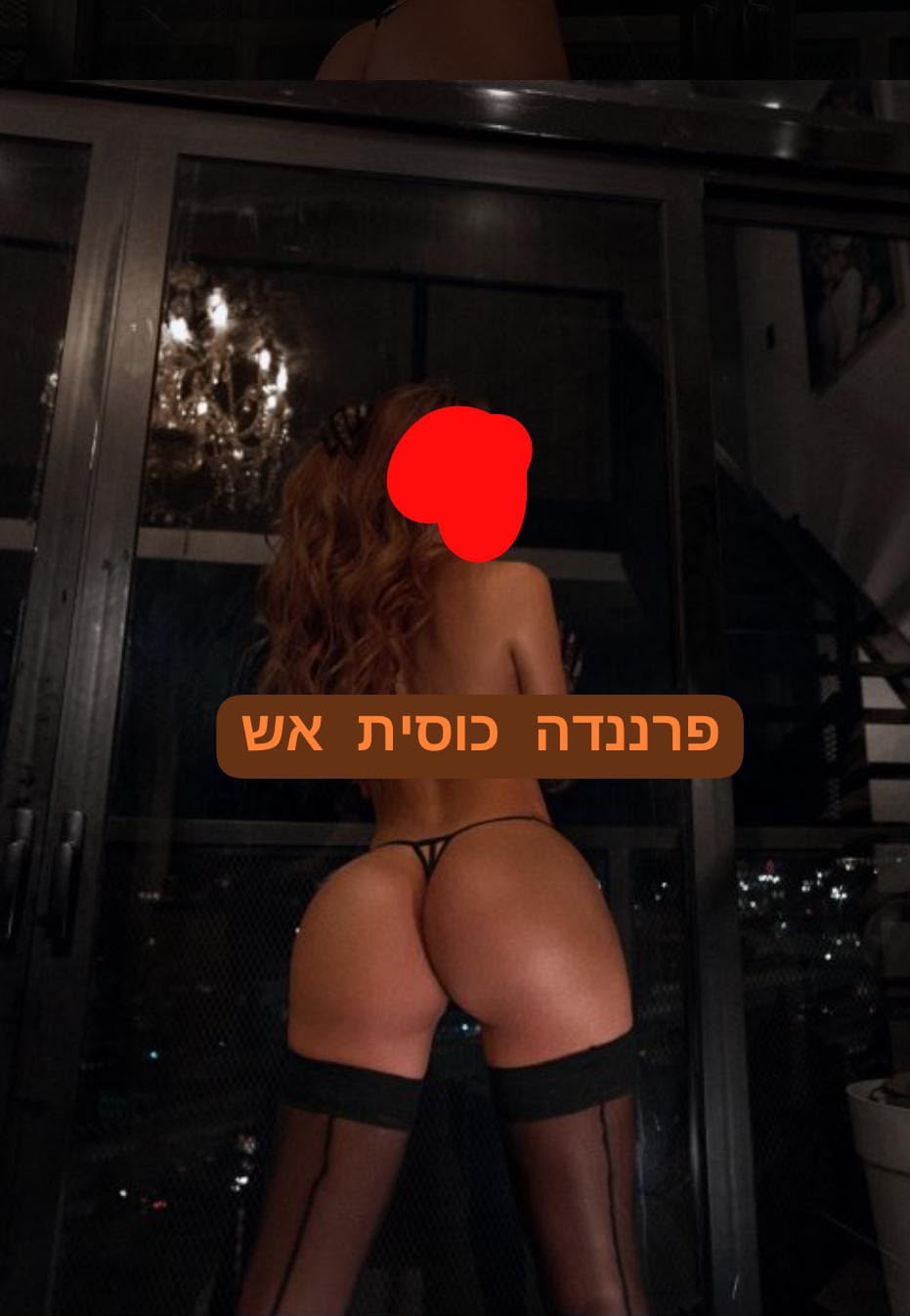 פרננדה חזרה לרמת גן